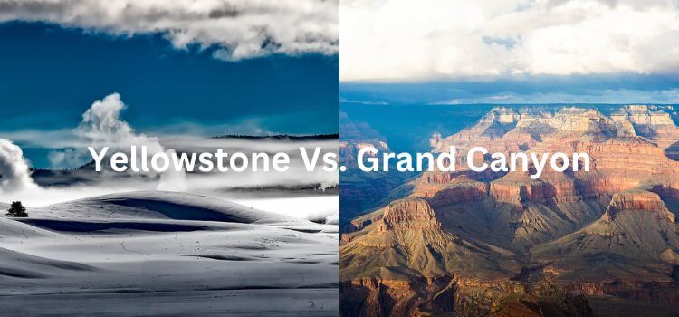 Yellowstone Vs Grand Canyon