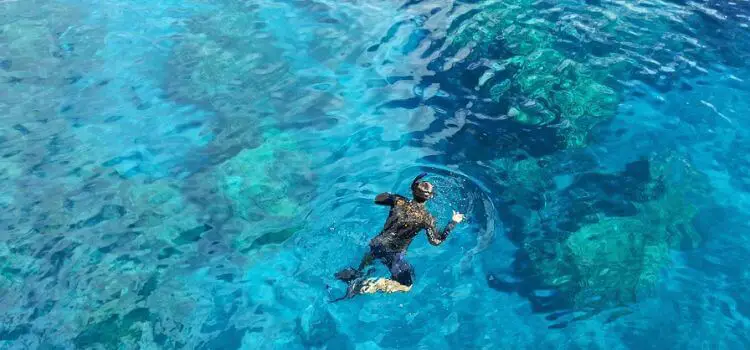 Best Snorkeling on the Big Island