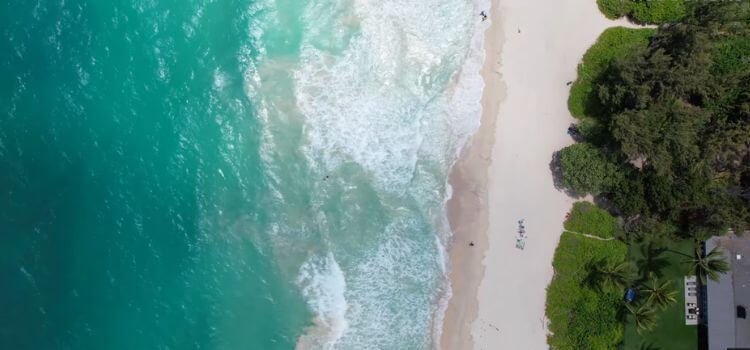 Kailua Bay (best for diverse marine life)